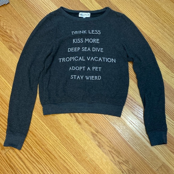 Wildfox Sweaters - Wild fox grey sweater